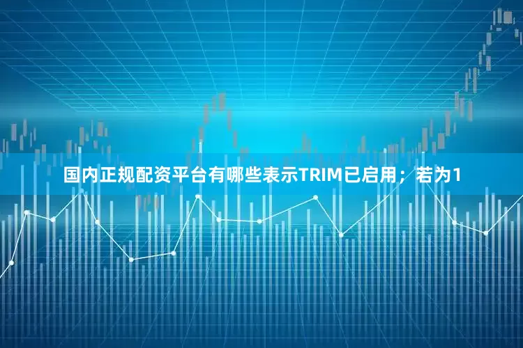 国内正规配资平台有哪些表示TRIM已启用；若为1