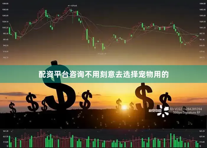 配资平台咨询不用刻意去选择宠物用的