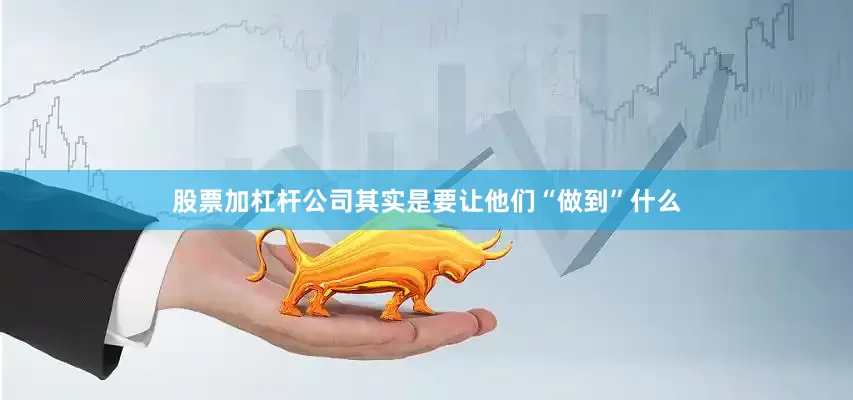 股票加杠杆公司其实是要让他们“做到”什么
