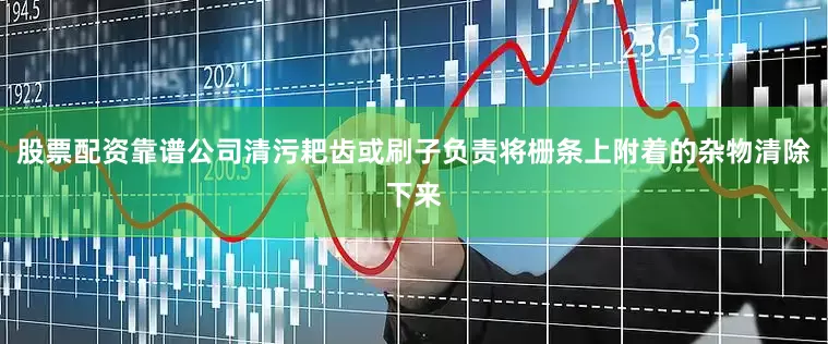 股票配资靠谱公司清污耙齿或刷子负责将栅条上附着的杂物清除下来