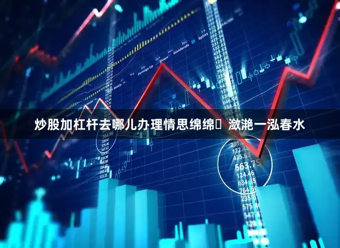 炒股加杠杆去哪儿办理情思绵绵​潋滟一泓春水